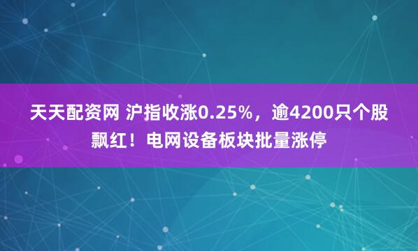 天天配资网 沪指收涨0.25%，逾4200只个股飘红！电网设备板块批量涨停