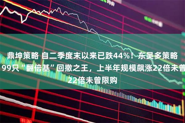 鼎坤策略 自二季度末以来已跌44%！东吴多策略A成199只“翻倍基”回撤之王，上半年规模飙涨22倍未曾限购
