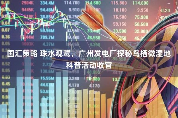 国汇策略 珠水观鹭，广州发电厂探秘鸟栖微湿地科普活动收官